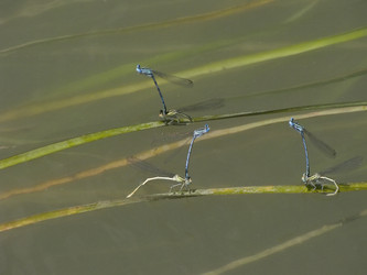 Similar image 6307726