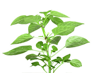 Similar image 6307792