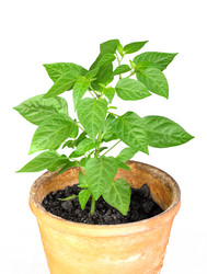 Similar image 6307794