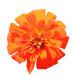 Similar image 6307795