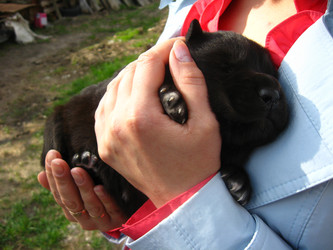 Similar image 6307814