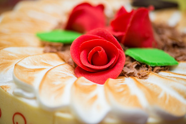 Similar image 6308496