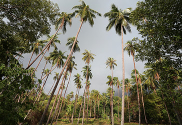 Similar image 6308771