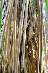 Similar image 6308773