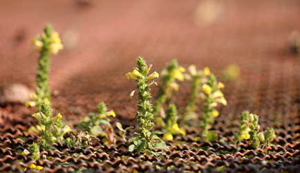 Similar image 6308784