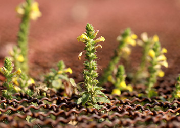 Similar image 6308806