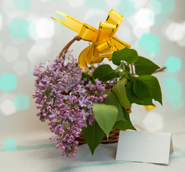 Similar image 6309097