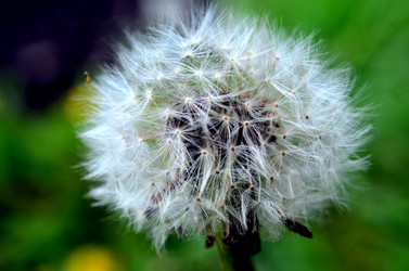 Similar image 6309496