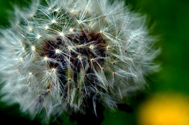 Similar image 6309497