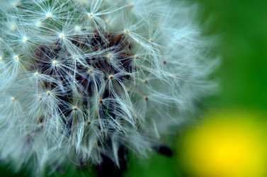 Similar image 6309498