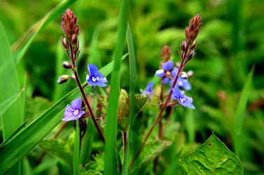 Similar image 6309500