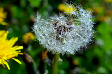 Similar image 6309501