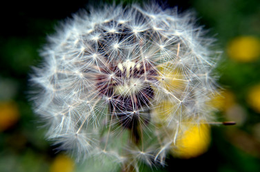 Similar image 6309502