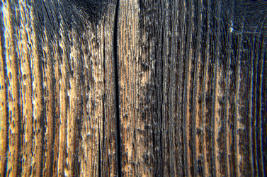 Similar image 6309519