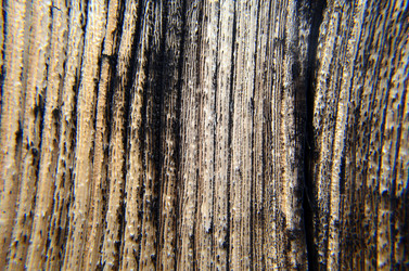 Similar image 6309520