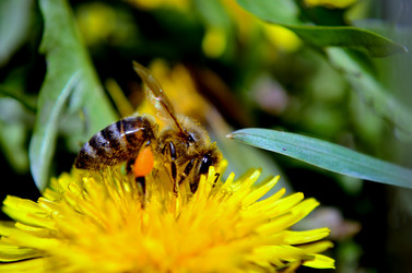 Similar image 6309522