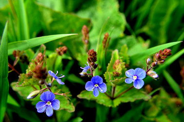 Similar image 6309523