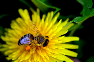 Similar image 6309524