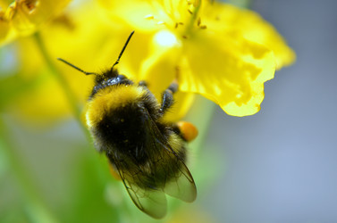 Similar image 6309526