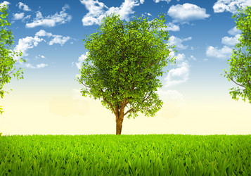 Similar image 6309562