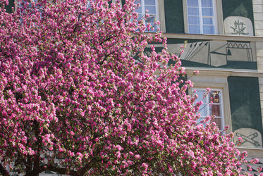 Similar image 6309567