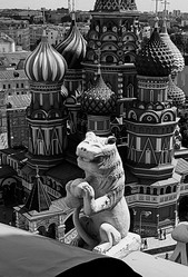 Лев - dapryamvotschazz