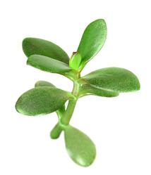 Similar image 6309968