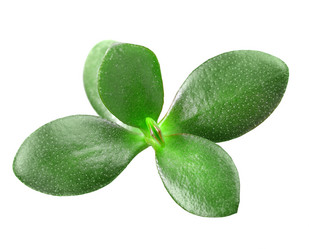 Similar image 6309975