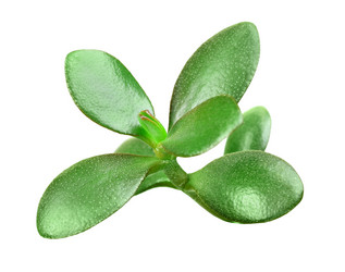 Similar image 6309976