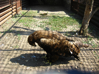 Similar image 6309997