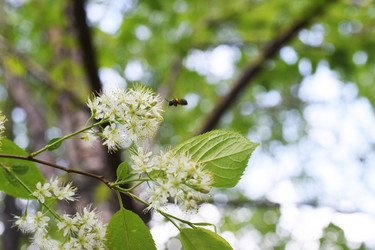 Similar image 6310223