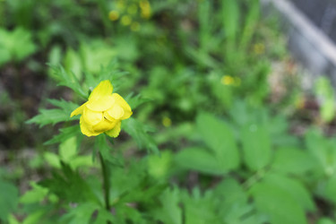 Similar image 6310224