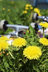 Similar image 6310225