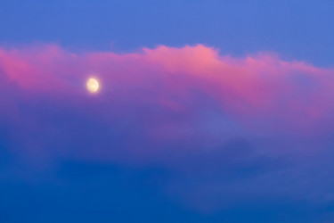 Similar image 6310349