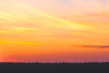 Similar image 6310353