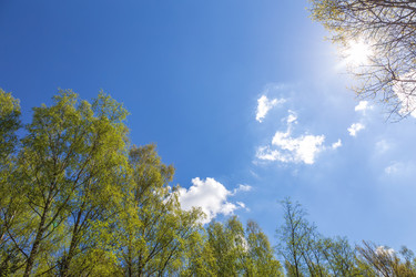 Similar image 6310375