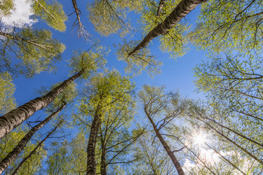 Similar image 6310389