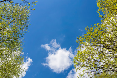 Similar image 6310390