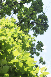 Similar image 6310567