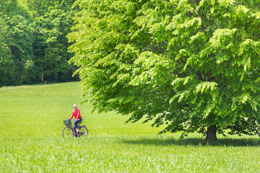 Similar image 6310859