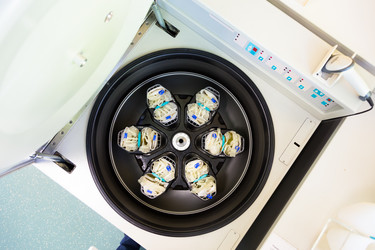 Similar image 6310998