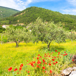 Similar image 6311096