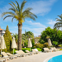 Similar image 6311144