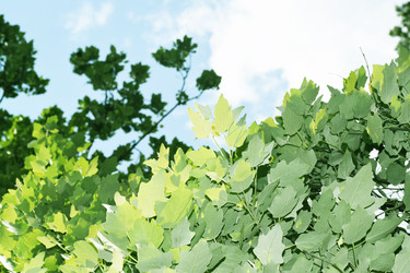 Similar image 6311149