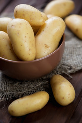 Similar image 6311229