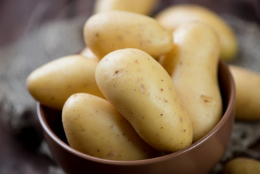 Similar image 6311244