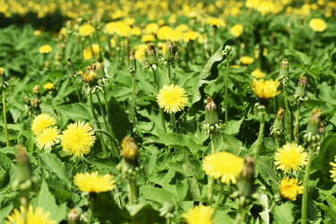 Similar image 6311260