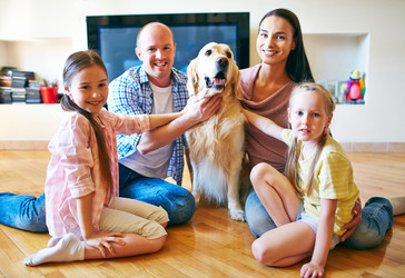 Similar image 6311347