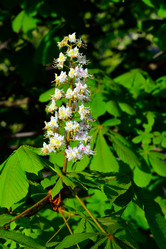 Similar image 6311448