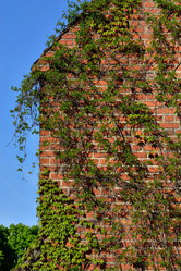 Similar image 6311449